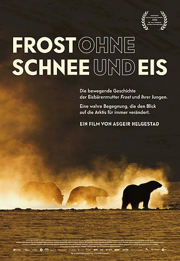 Filmplakat des Films Frost ohne Schnee und Eis
