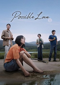 Filmplakat des Films Possible Love