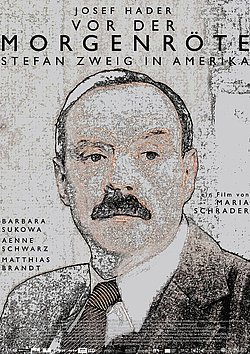 Filmplakat des Films Psychoanalyse und Film: Vor der Morgenröte